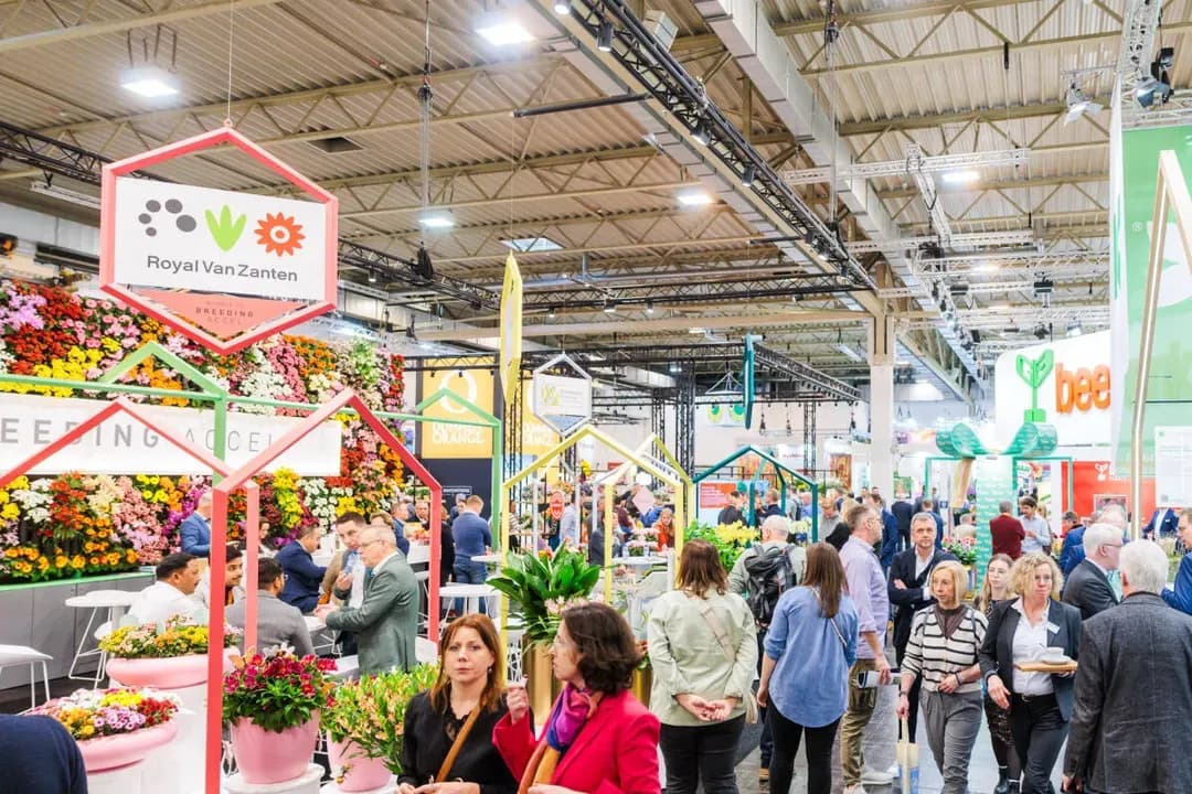 IPM Essen