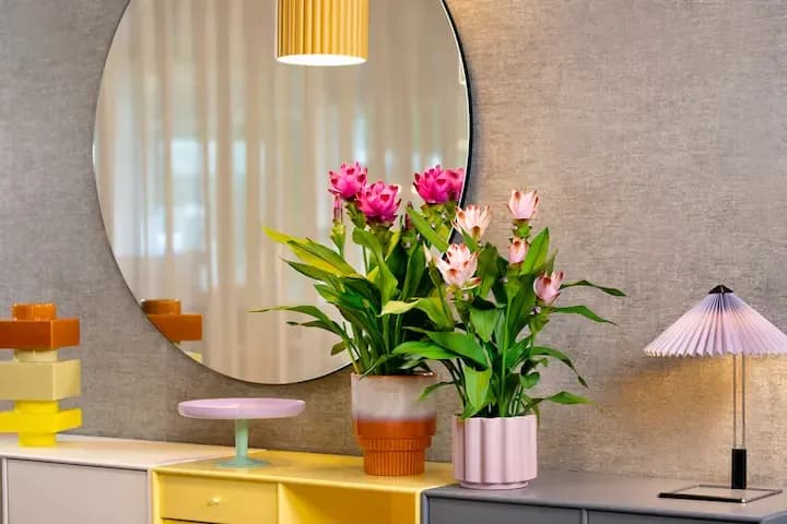 Plant 3