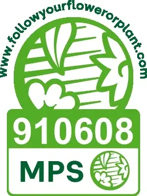 <p><b>Our Certifications</b></p>