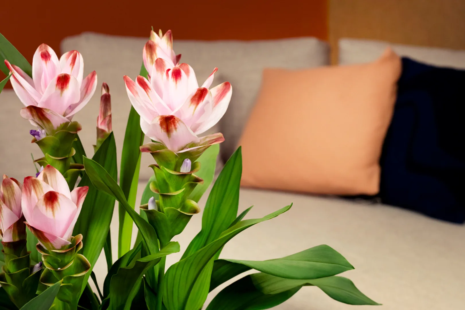 Exotic bloom, clean finish.
