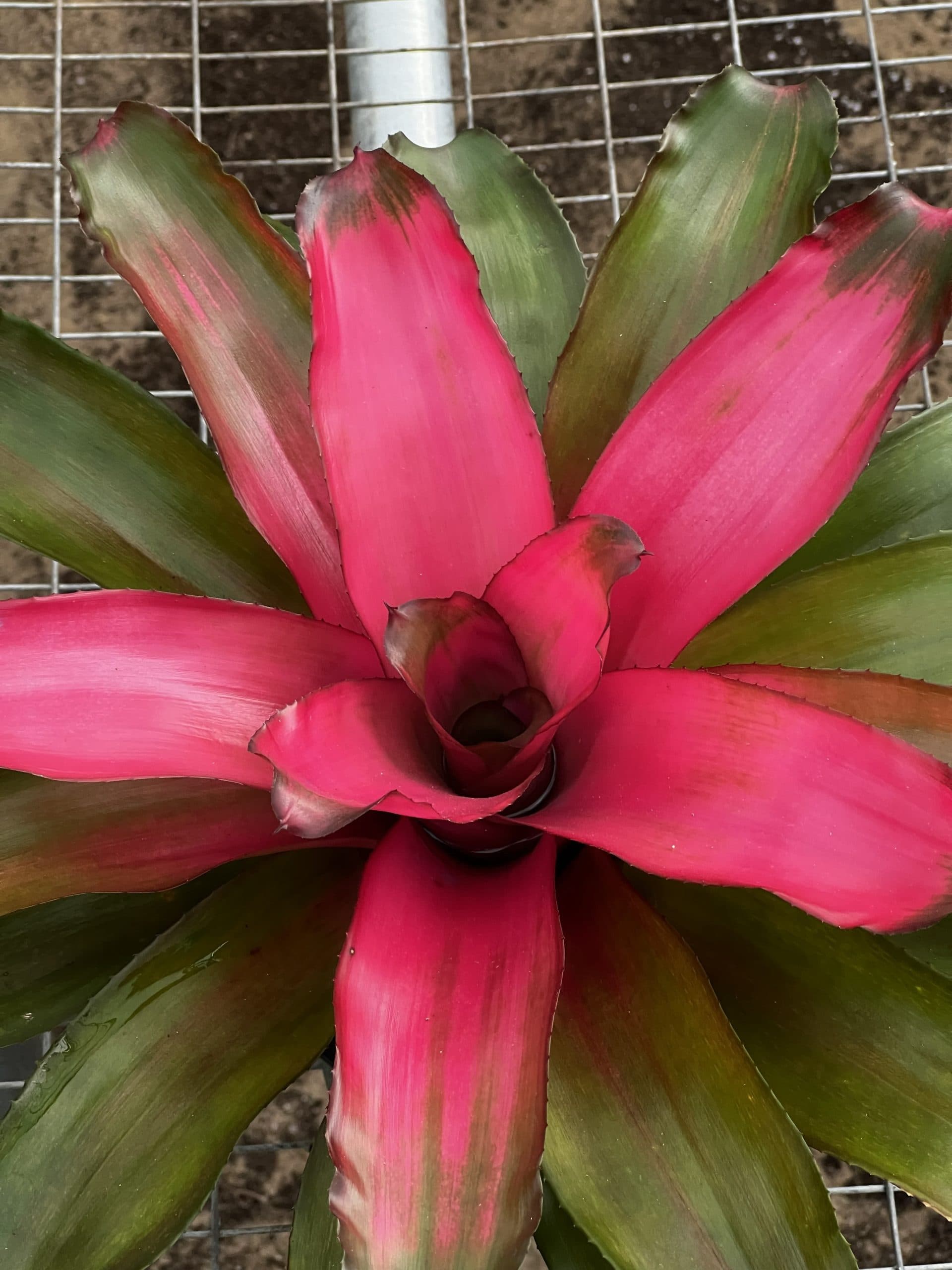 Center color that lasts.
