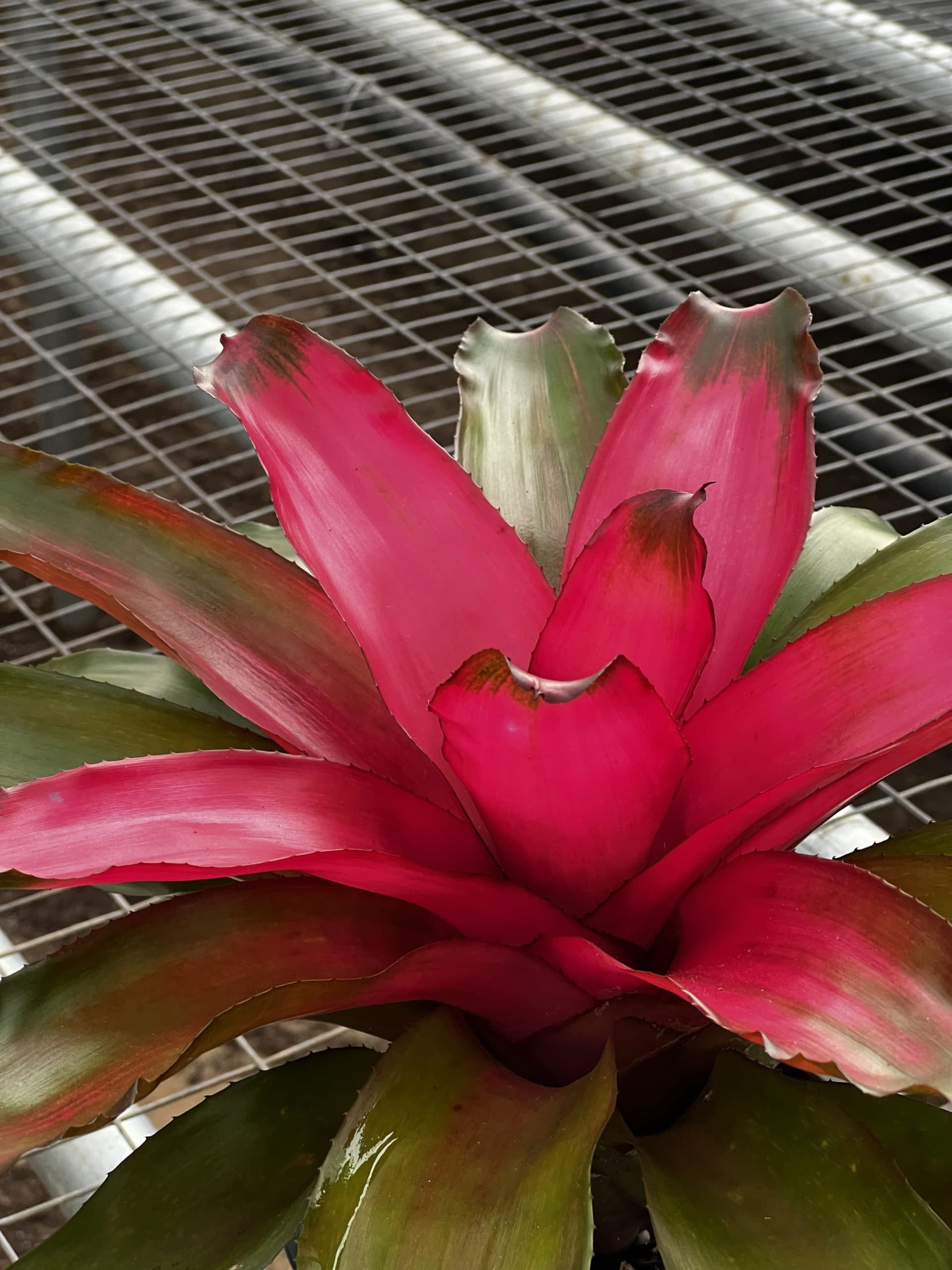 Center color that lasts.