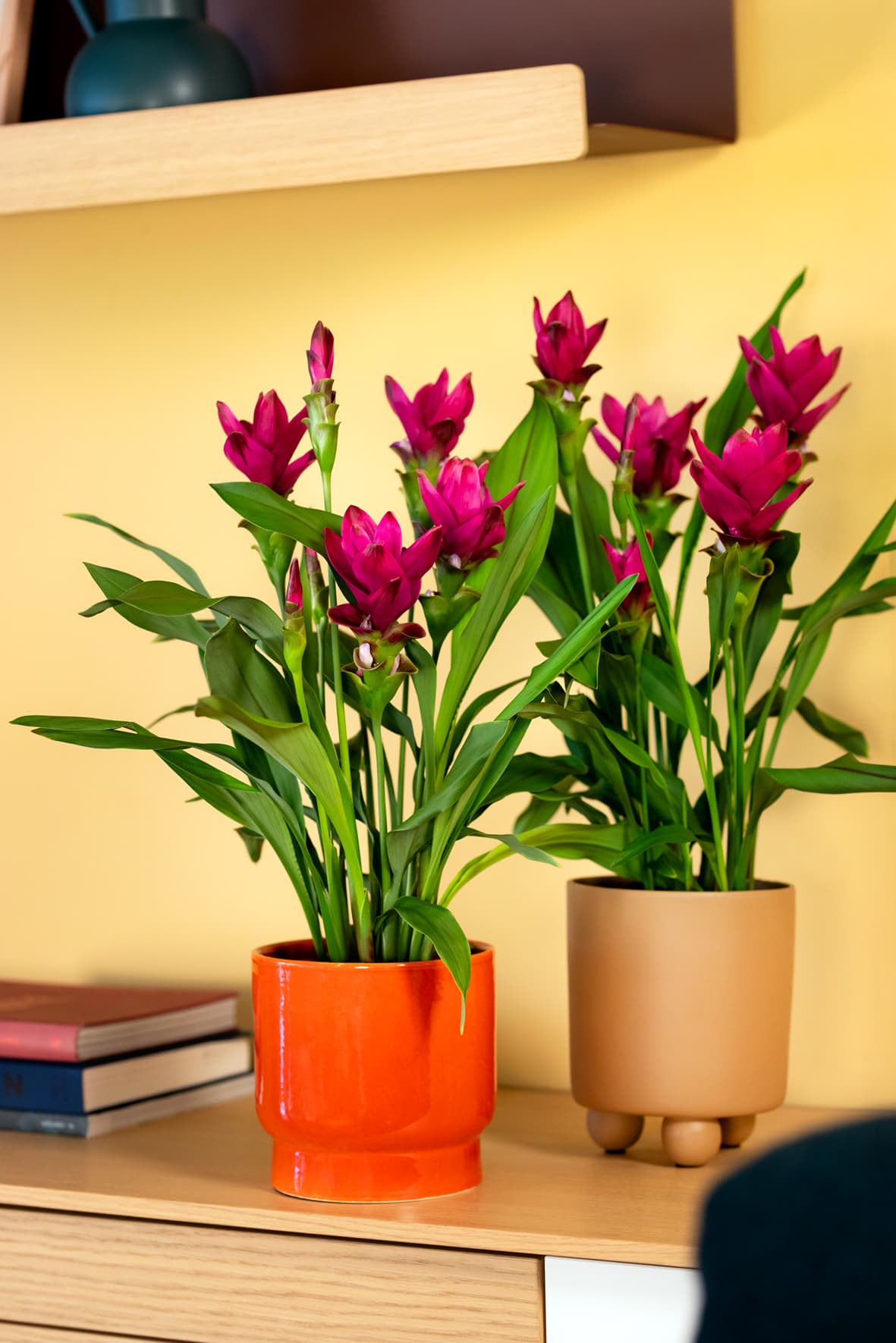Exotic bloom, clean finish.
