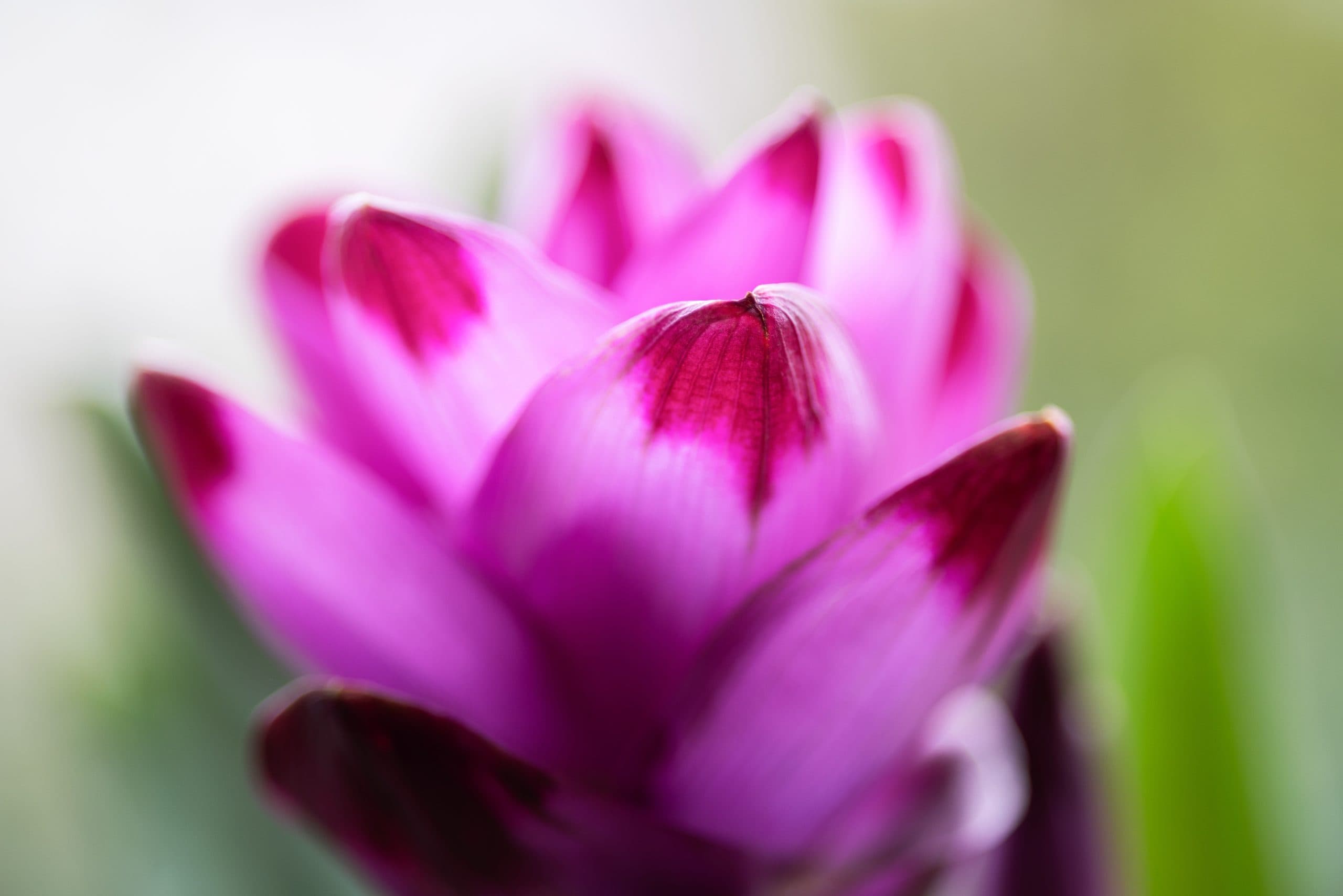 Exotic bloom, clean finish.