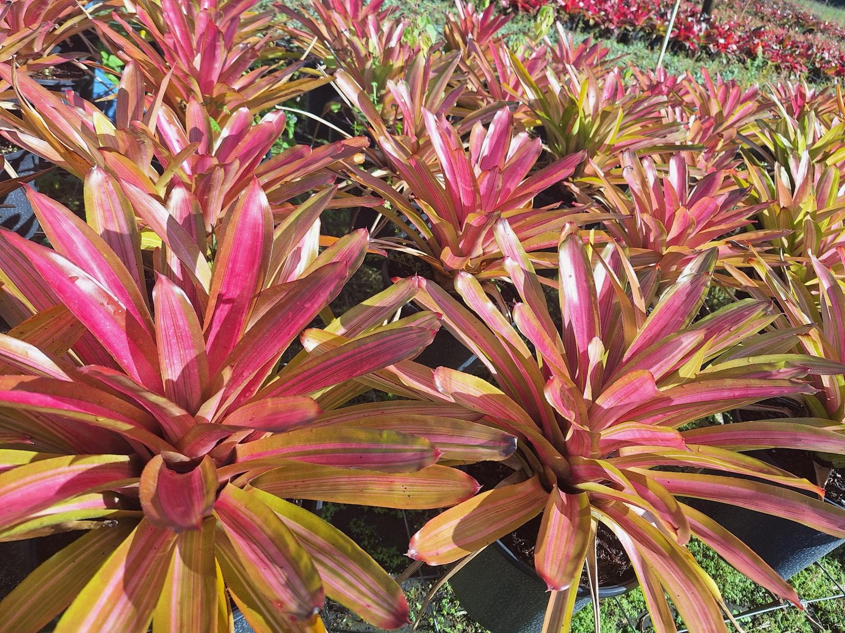 Center color that lasts.