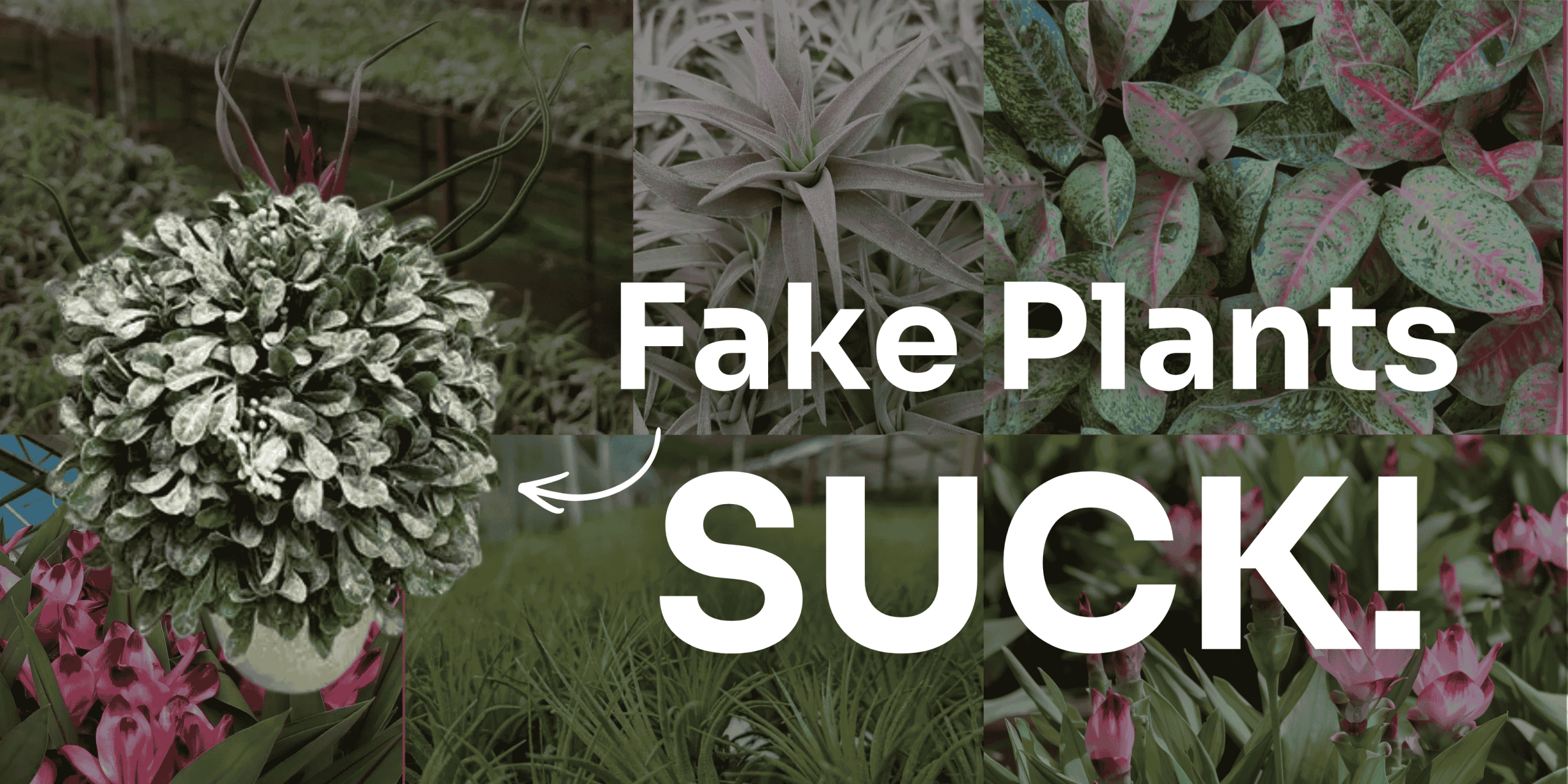 Fake Plants Suck: Why Real Greenery Wins