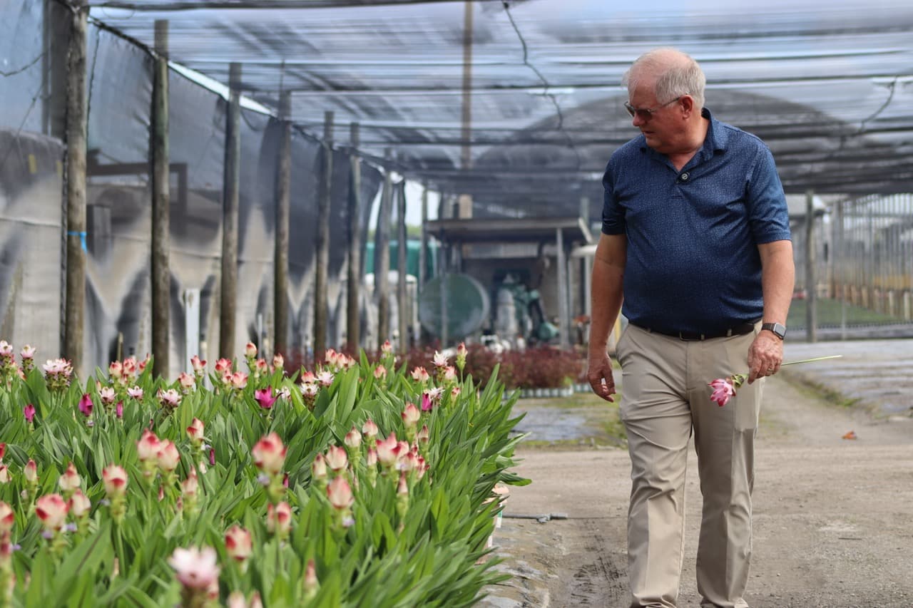 Story of Success: Why Curcuma benefits growers like Pure Beauty Farms