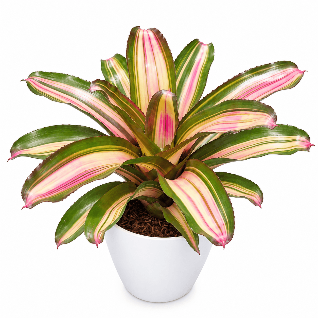 Center color that lasts.