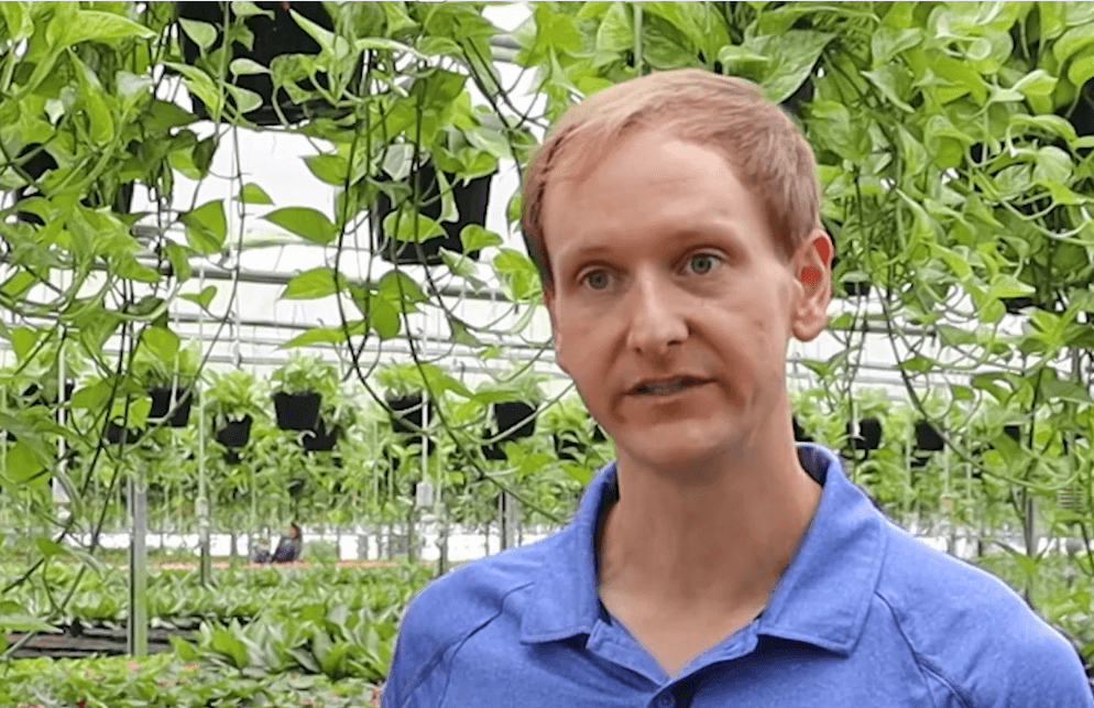 Wholesale Peperomia Program: Mercer Botanicals Story