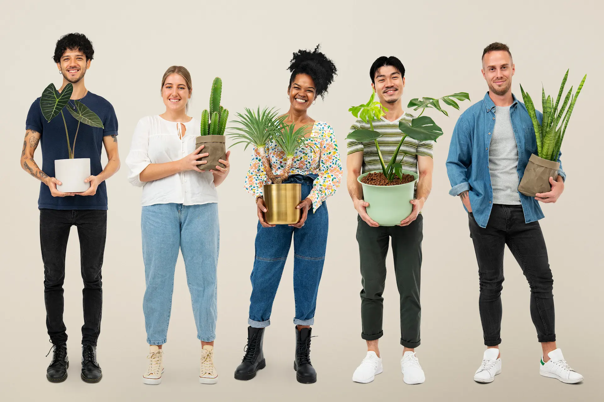 Rethinking Plant Categorization: The Rise of Tropicals