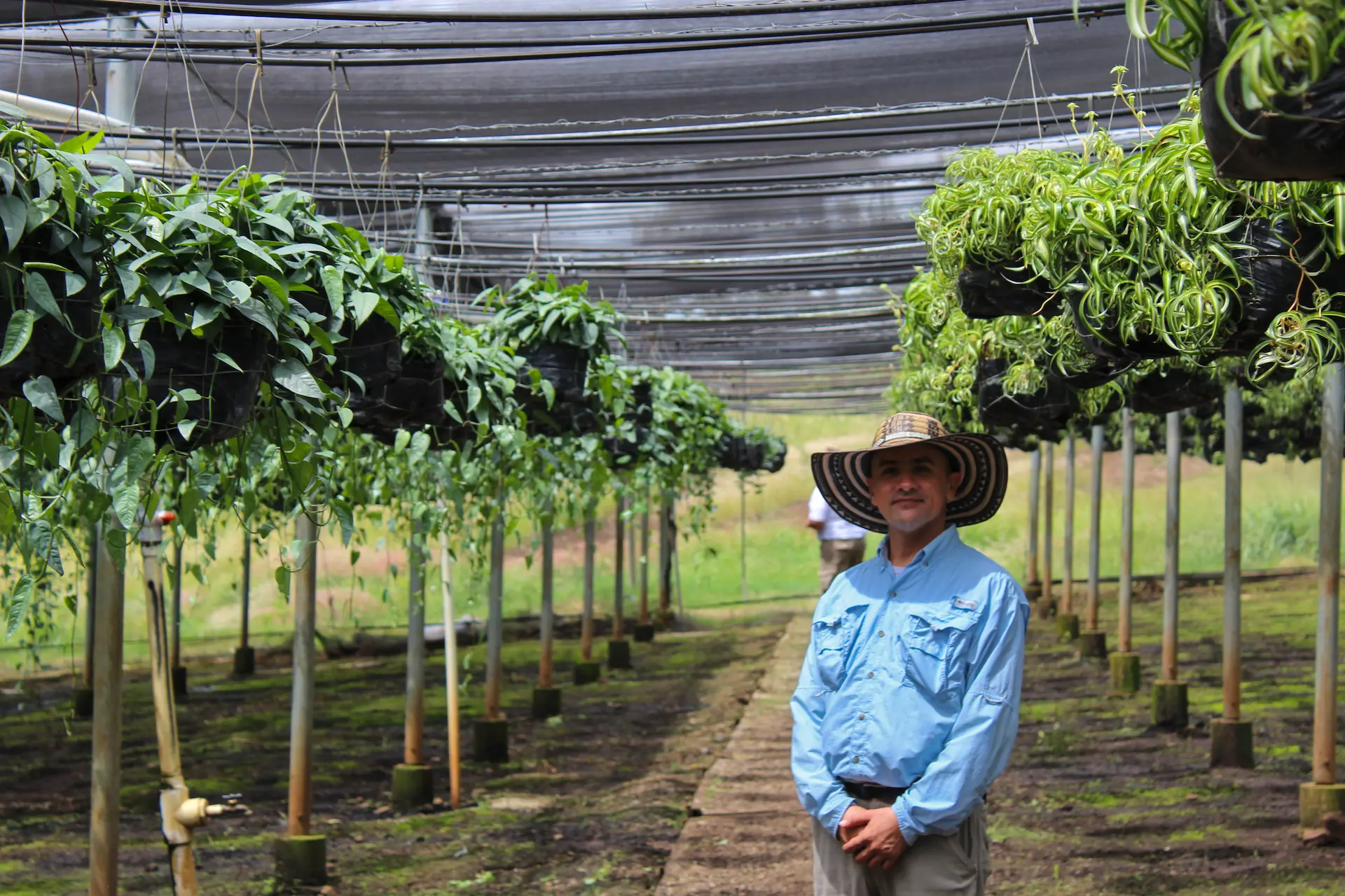 People behind the Plants